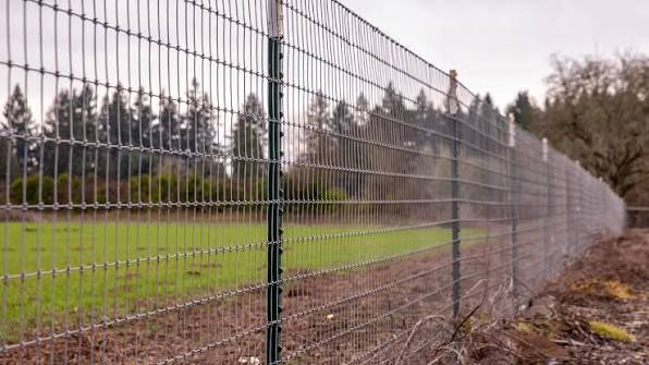 Chain Link Fence Installation Tips: Expert Guide